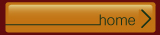 home button